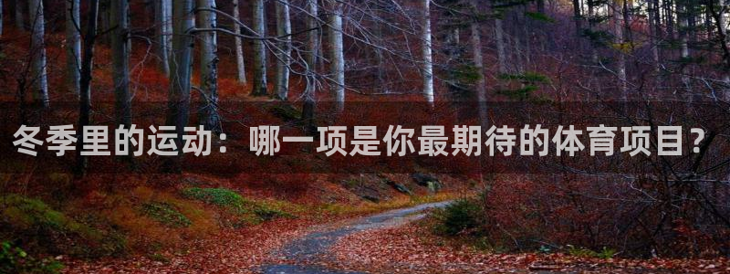 冬季里的运动：哪一项是你最期待的体育项目