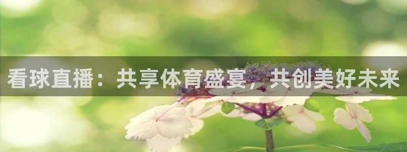 九球直播免费直播