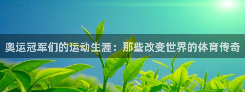 九球直播网