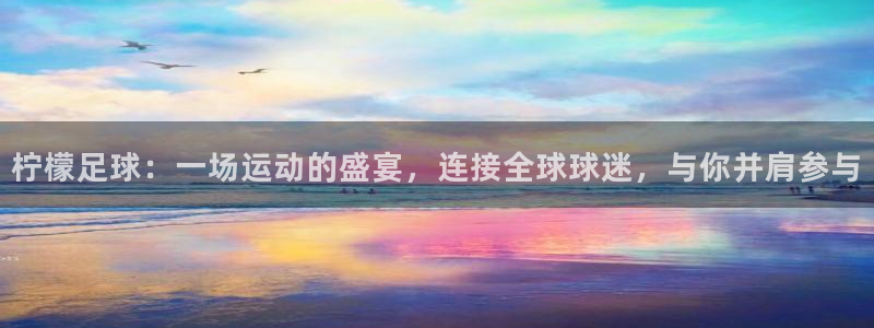 九球比赛：柠檬足球：一场运动的盛宴，连接